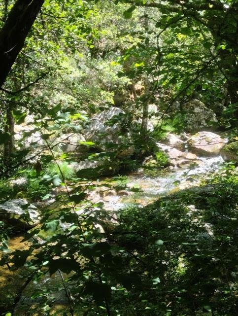 Willa O Recuncho Da Isa - Ribeira Sacra Pereiro de Aguiar Zewnętrze zdjęcie